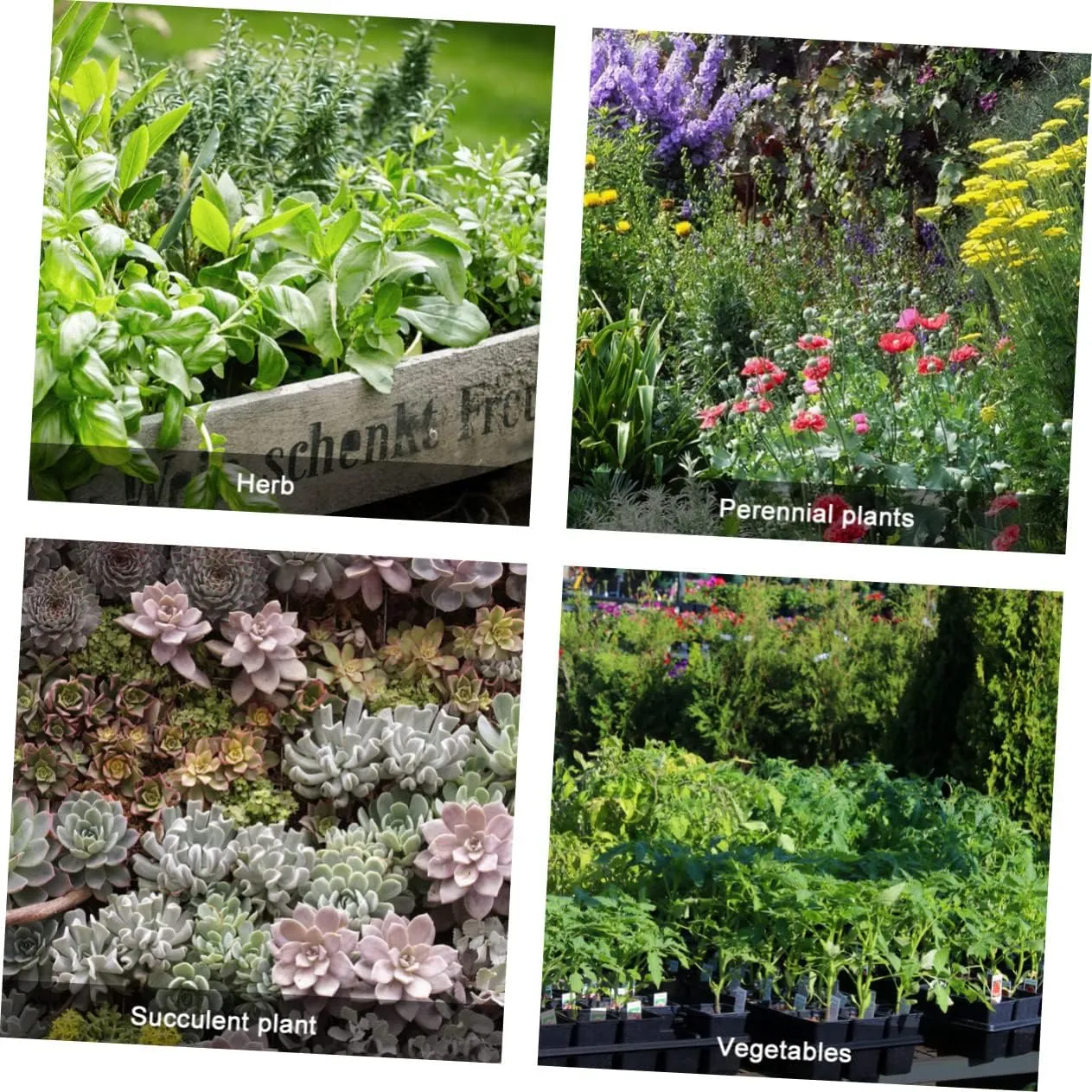 2pcs Grow Bag Plant Garden Growing Bags Nursery Grow Pouch Farm Nursery Bags Potatoes Raised Culture Fabric Green Felt
