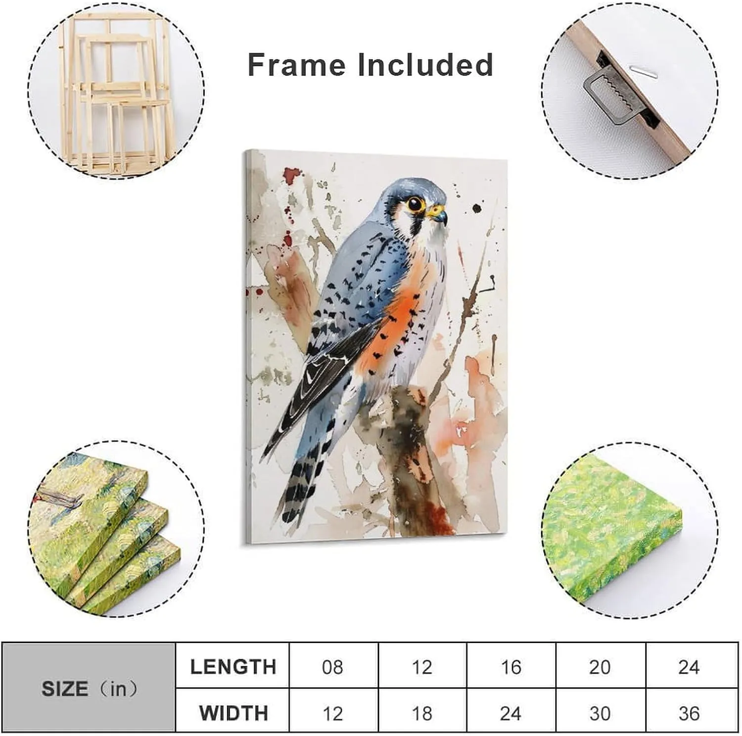American Kestrel Bird Watercolor Birds Painting Animals Canvas Wall Art Posters for Room Aesthetic 08x12inch(20x30cm)
