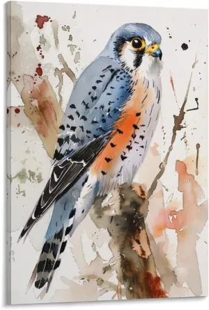 American Kestrel Bird Watercolor Birds Painting Animals Canvas Wall Art Posters for Room Aesthetic 08x12inch(20x30cm)