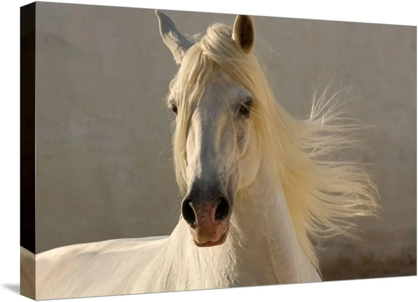 ART.COM Stretched Canvas Print Elegance by Tony Stromberg, 24" x 16"