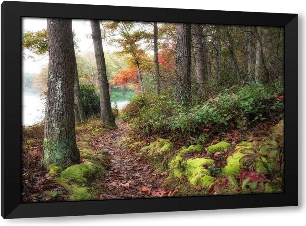 ArtDirect Lake Walk III Custom Framed Art Print Giclee Print or Canvas Options with Various Sizes and Customization by Head, Danny