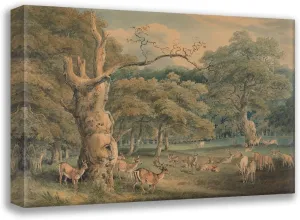 ArtDirect Samuel Howitt 24x18 Gallery Wrapped Canvas Museum Art Print Titled: Hearne's Oak, Windsor Forest