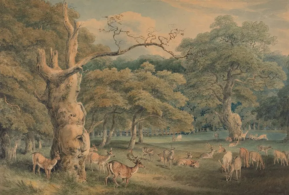 ArtDirect Samuel Howitt 24x18 Gallery Wrapped Canvas Museum Art Print Titled: Hearne's Oak, Windsor Forest