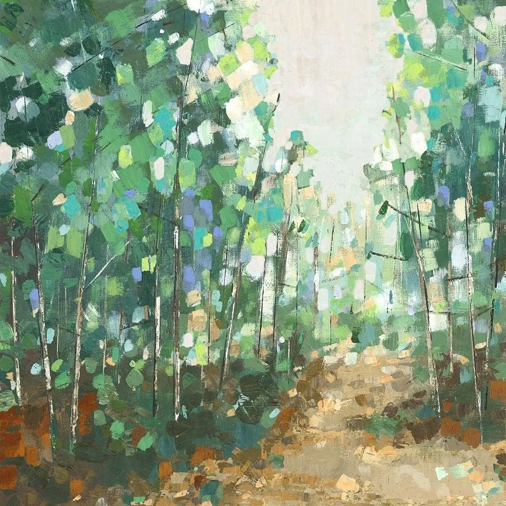ArtDirect Woods, Maya 20x20 Gallery Wrapped Canvas Museum Art Titled: Backwoods II