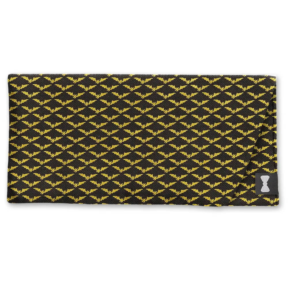 Bat Cave - Eyeglass Cases