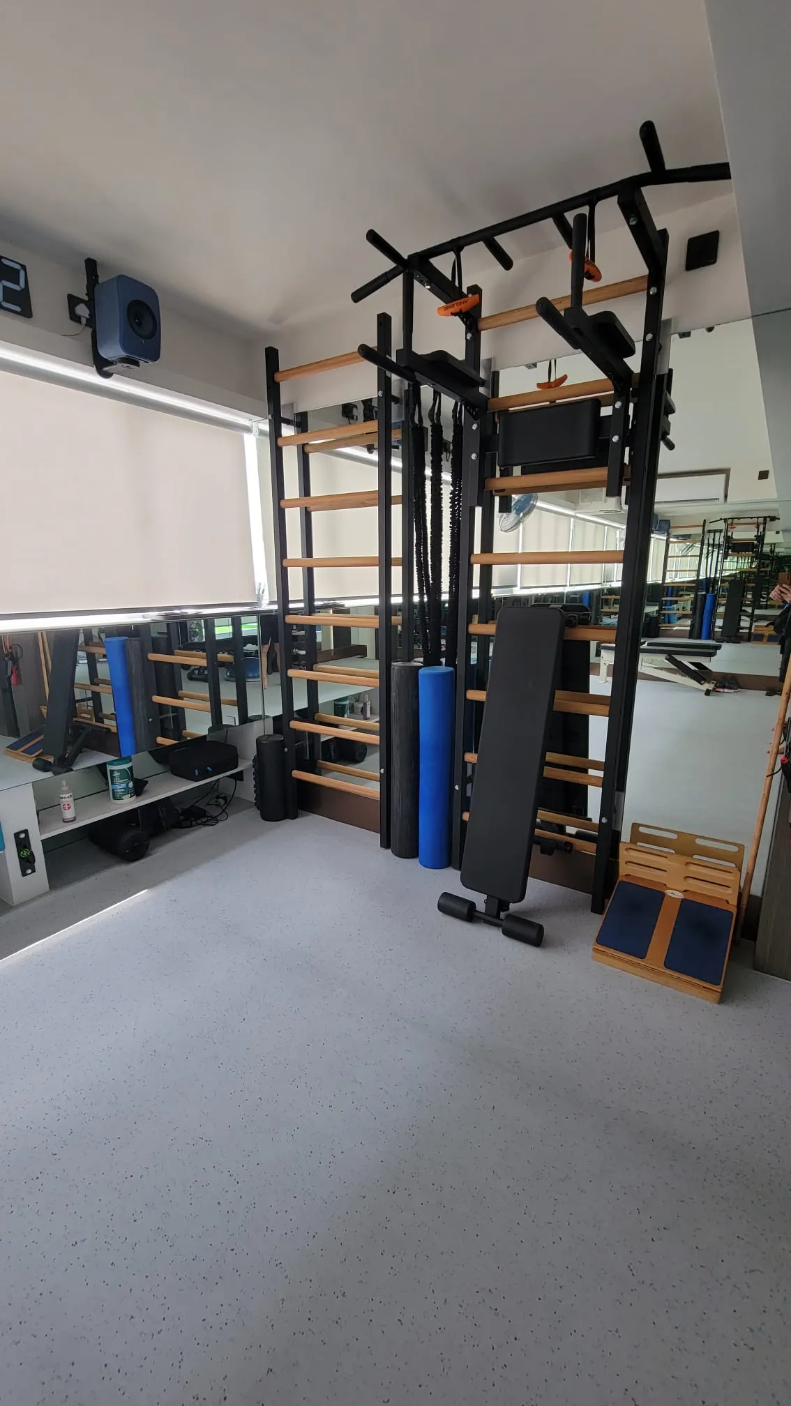 BenchK 223 Wall Bars with Pull-up Bar, Dip Bar & Workout Bench