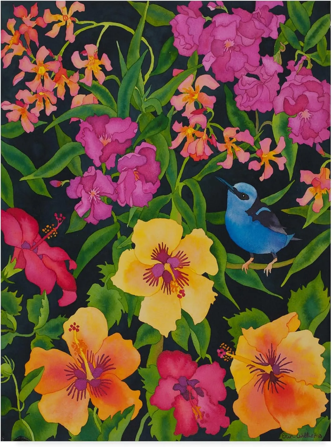 Carissa Luminess 'Starlight Magic' Canvas Art