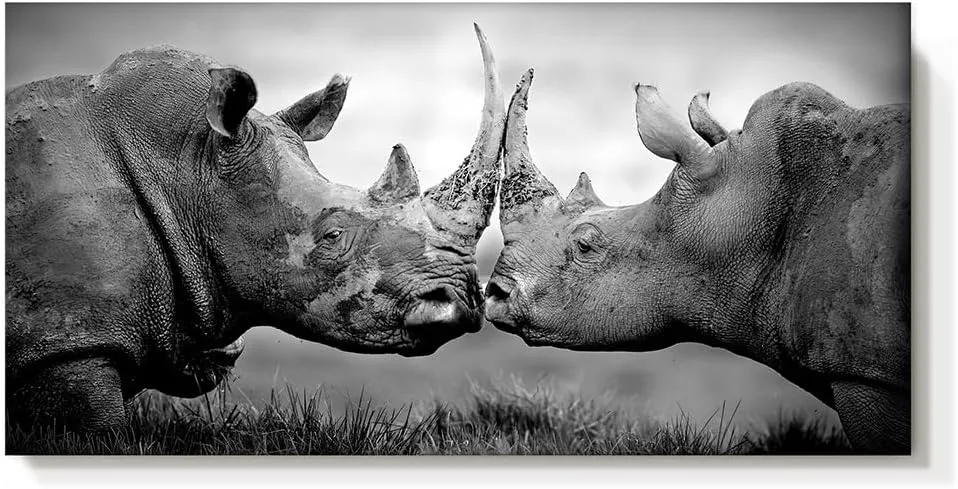 cozy country rhino wall art rhinoceros decor: rhino pictures wall decor wild animal canvas artwork large painting for diningroom national park 40" x 20"
