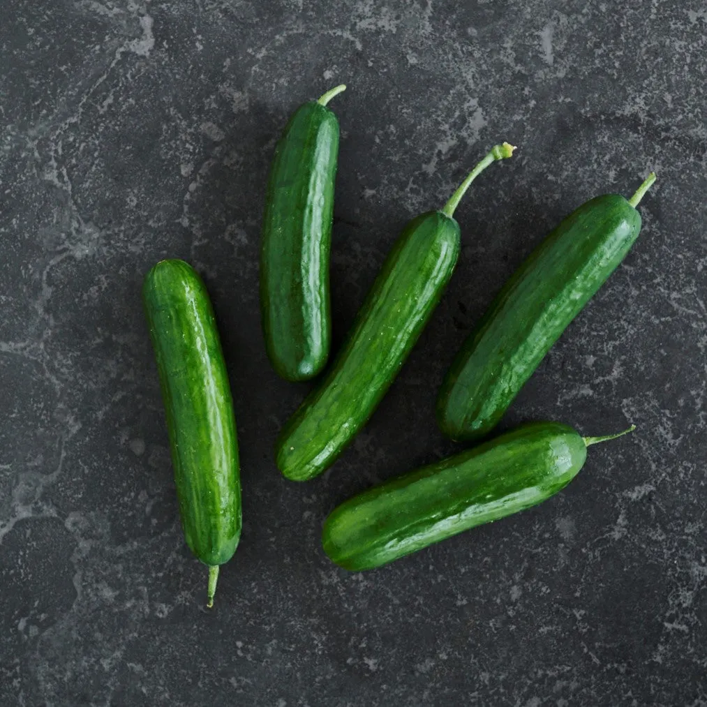 Cucumber Lebanese 1kg Bags