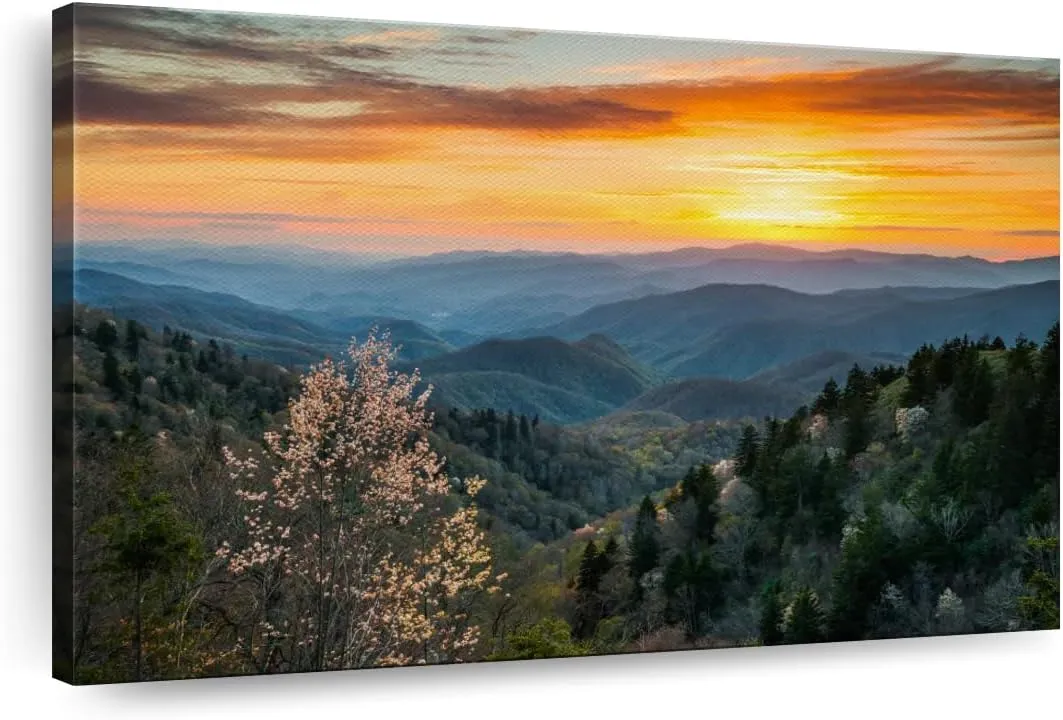 Elephant Stock Great Smoky Mountains Sunrise Canvas - 1 Panel Mountain Pictures Wall Decor - Nature Wall Art, Mountain Canvas Photography - Mountains Wall Art for Nature Lovers - 24" X 16"
