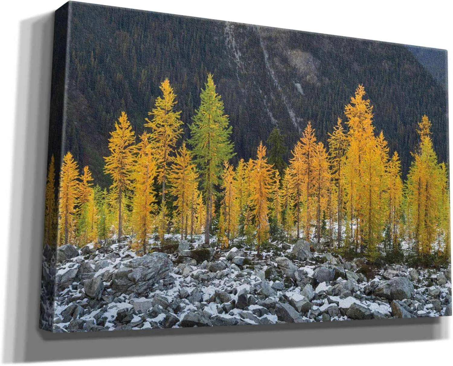 Epic Graffiti 'Alpine Larches North Cascades' by Alan Majchrowicz,Giclee Canvas Wall Art, 18"x12"