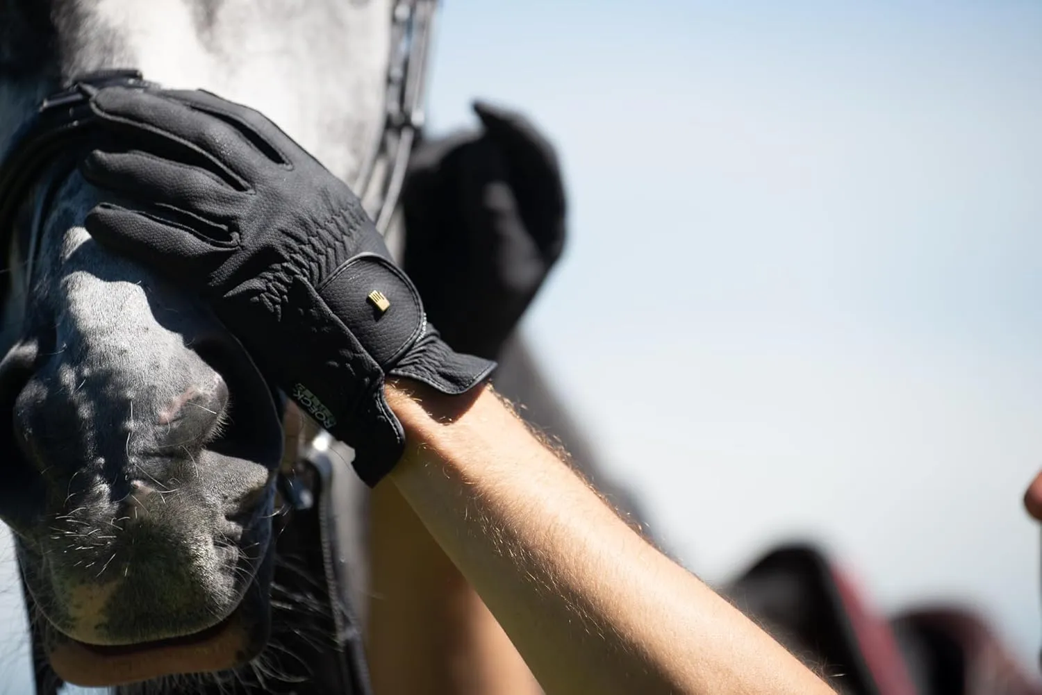 Gloves