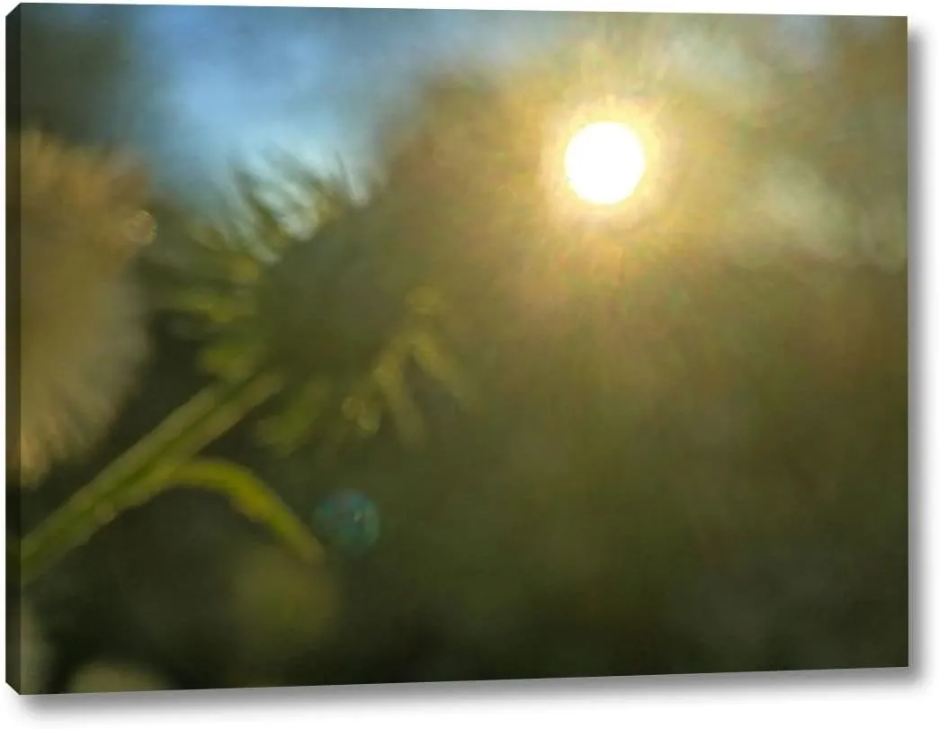 Golden Hour I by Popcorn - 12" x 16" Canvas Art Print Gallery Wrapped - Ready to Hang