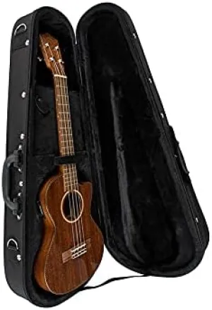 Lanikai Acoustic Guitar Bag (FC-B)