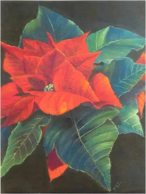 Margo Starkey 'Poinsettia, 2022' Canvas Art - 14 x 19 Inches