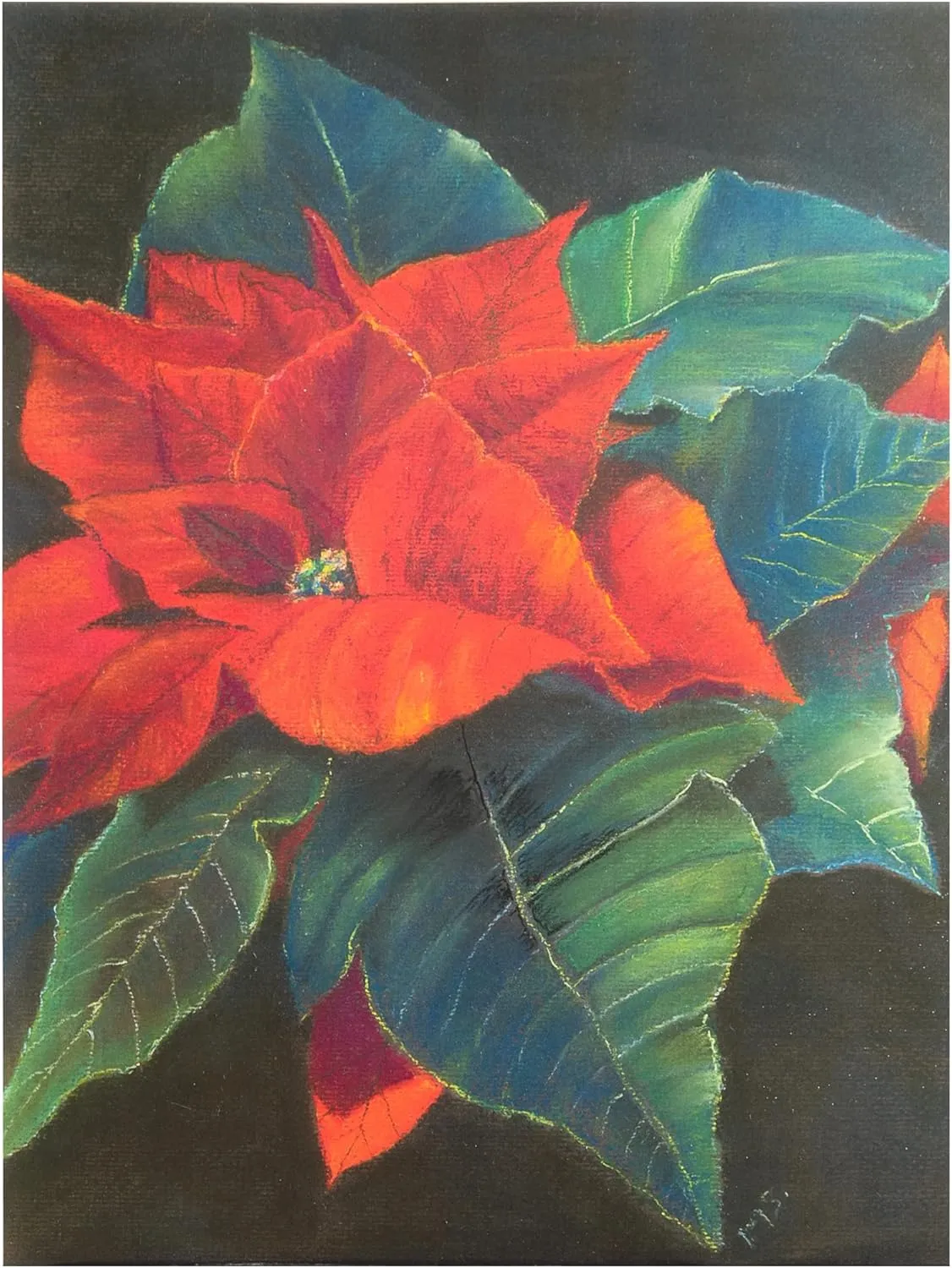 Margo Starkey 'Poinsettia, 2022' Canvas Art - 14 x 19 Inches