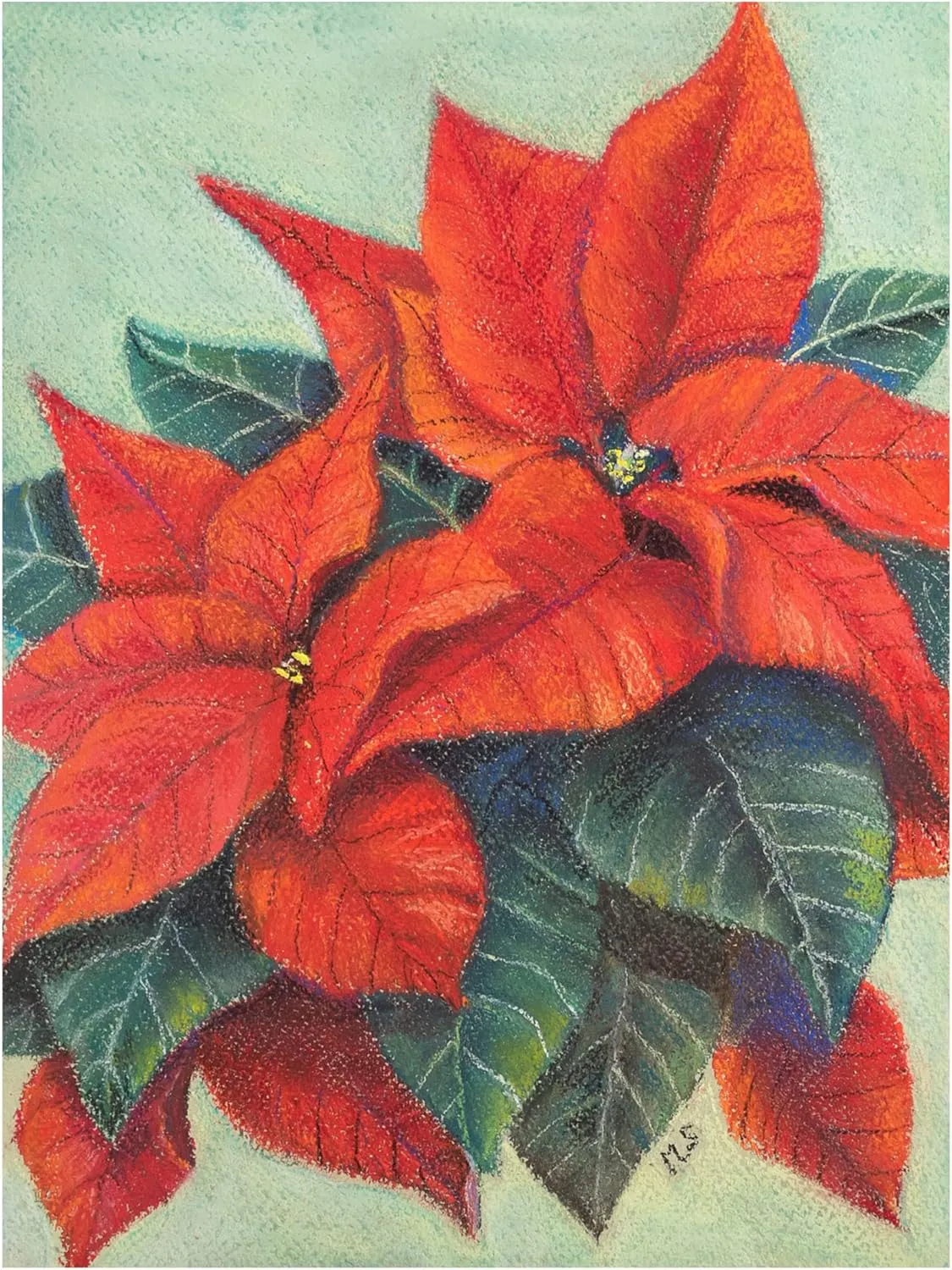 Margo Starkey 'Poinsettia's, 2022' Canvas Art - 18 x 24 Inches