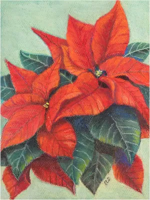 Margo Starkey 'Poinsettia's, 2022' Canvas Art - 18 x 24 Inches