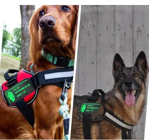 Overburdened PVC Patches Meme Patch with Hook and Loop Backing, Humorous Funny Morale Patch for Tactical Backpacks, Hats, Lunch Bags, Vests, Jackets (2pcs)