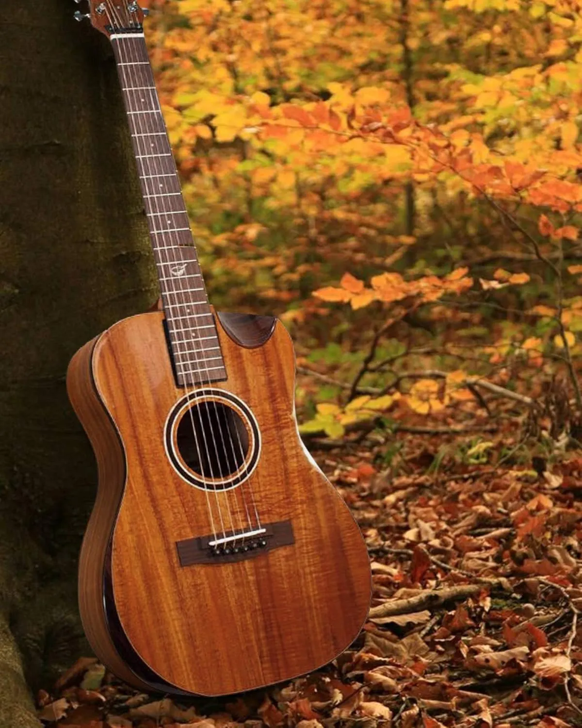 Solid Acacia Koa Travel Guitar – OF882C Traveling Acoustic-Electric Guitar with Collapsible Patented System – Portable Backpack Case (Overhead)