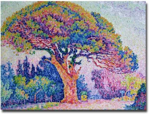 Trademark ART Paul Signac The Pine Tree at St.Tropez 1909 Canvas Art, 18 by 24-Inch