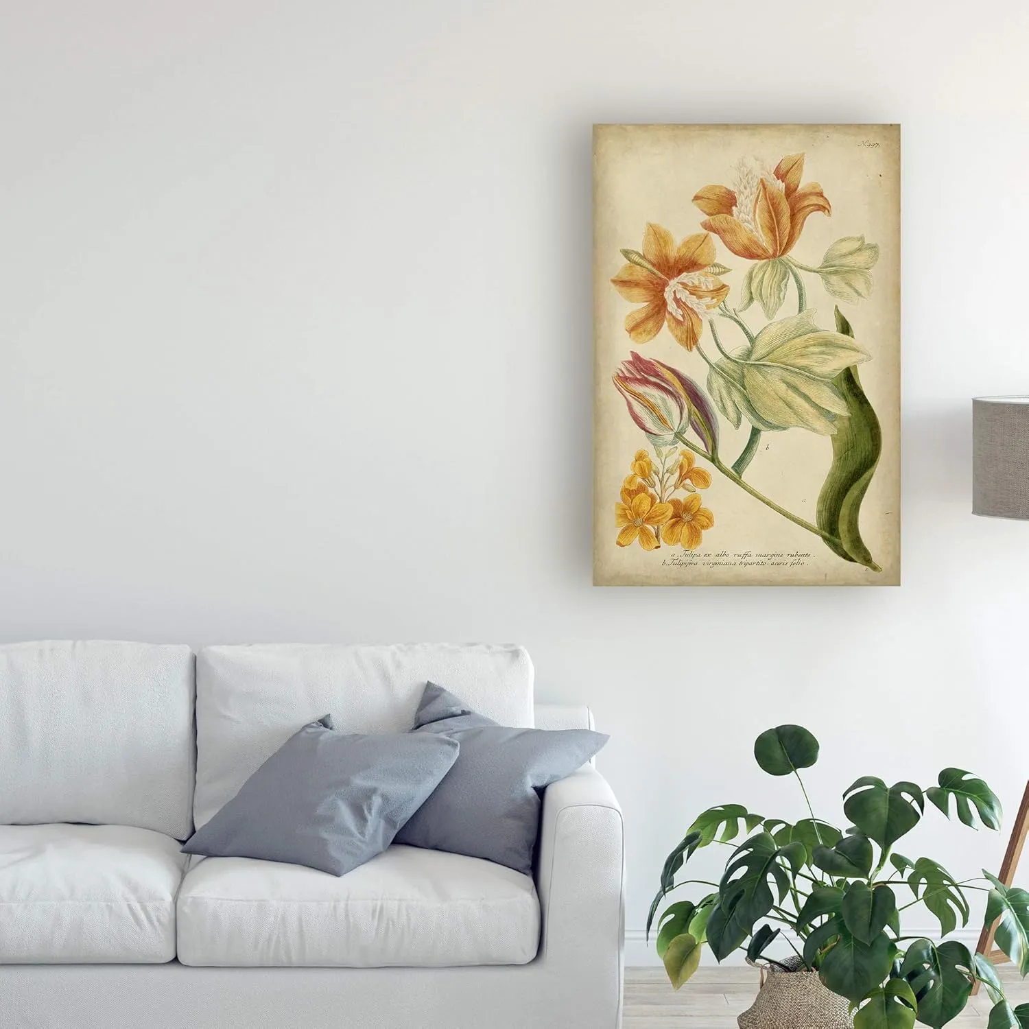Trademark Fine Art, 16x24 Weinman Tropical Floral II by Weinmann