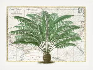 Trademark Fine Art Canvas Wall Art - Andrea Haase 'Tropical Empire No5' Wall Art for Living Room, Bedroom, or Office Décor