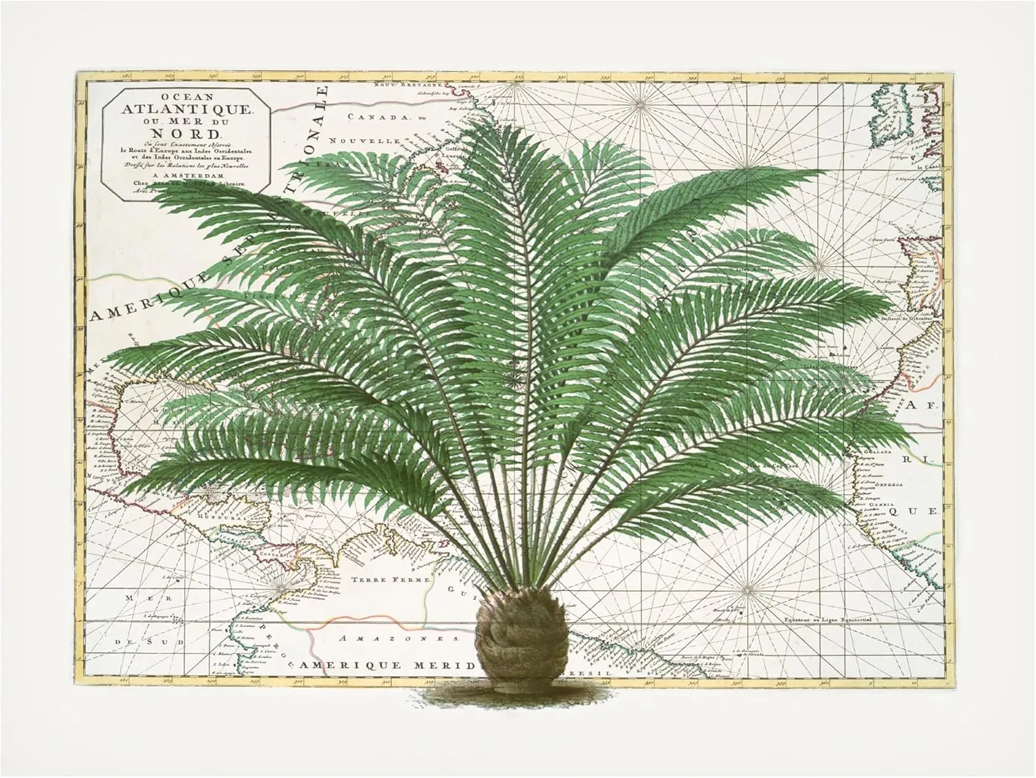 Trademark Fine Art Canvas Wall Art - Andrea Haase 'Tropical Empire No5' Wall Art for Living Room, Bedroom, or Office Décor