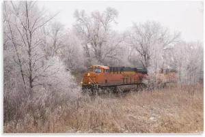 TYWSDBV Diesel Train BNSF Running in The Forest Poster Train Poster Vintage Poster Canvas Painting Posters And Prints Wall Art Pictures for Living Room Bedroom Decor 12x18inch(30x45cm) Unframe-style